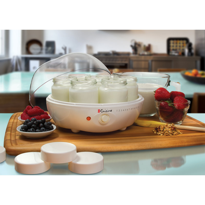 Euro Cuisine Yogurt Maker & Reviews Wayfair